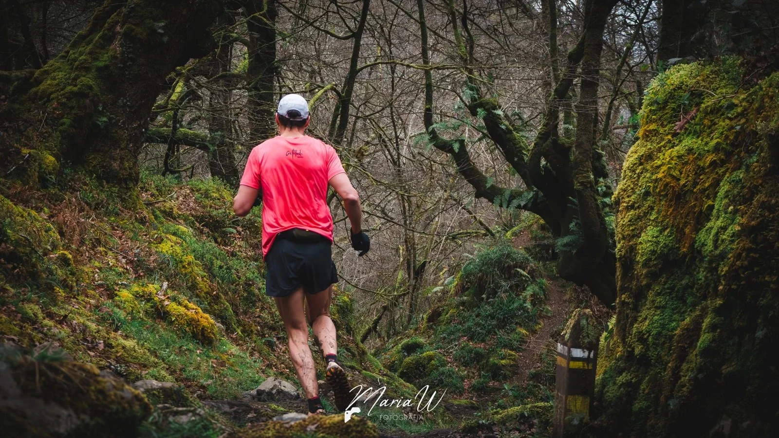 Trail Villa de la Sidra - Les Praeres