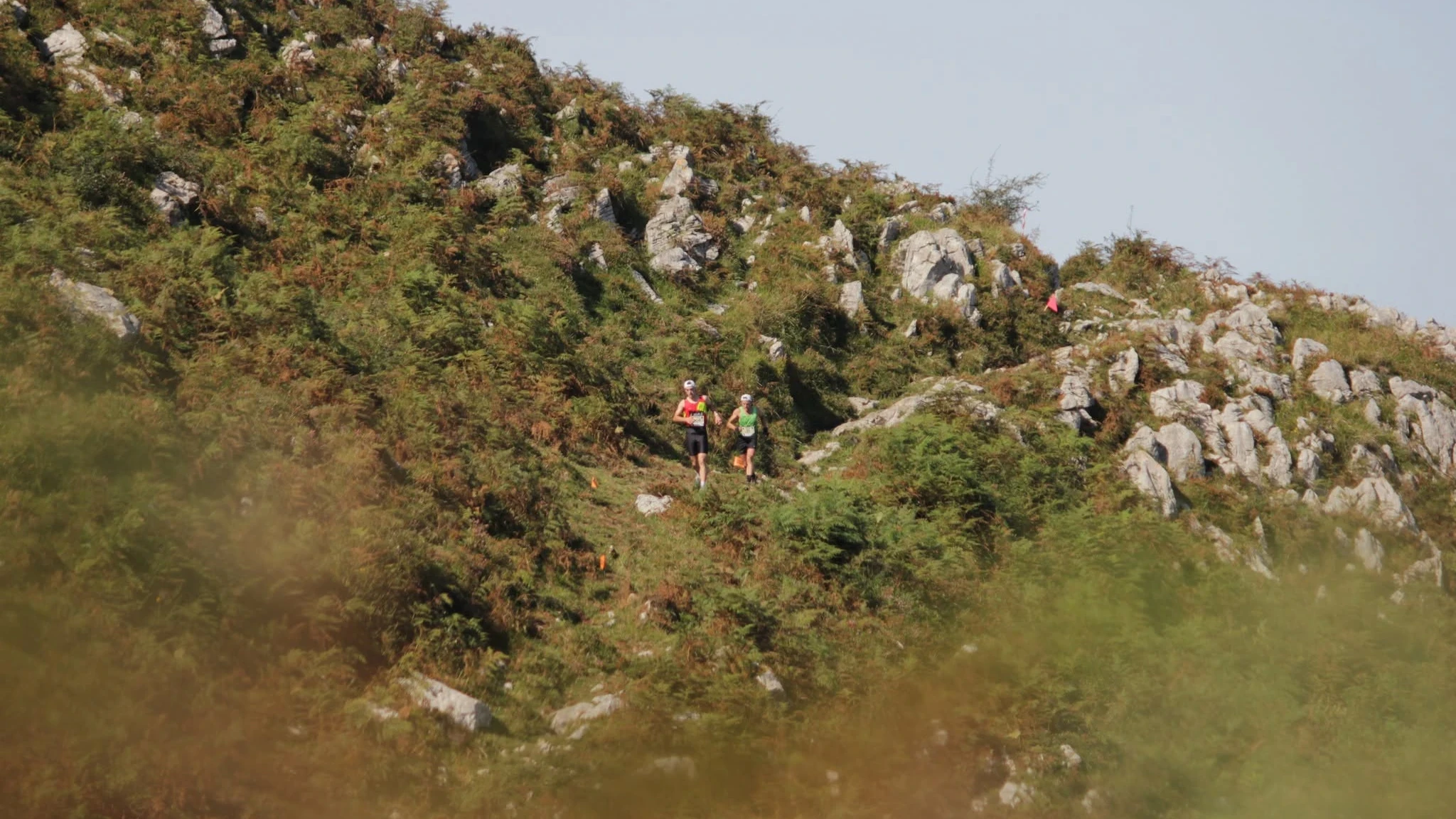 II Trail Valle de Ardisana
